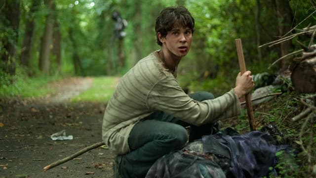 Stake Land - Anoitecer Violento assista online