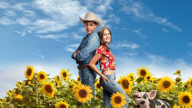 A Nova Cinderela: Superstar assista online