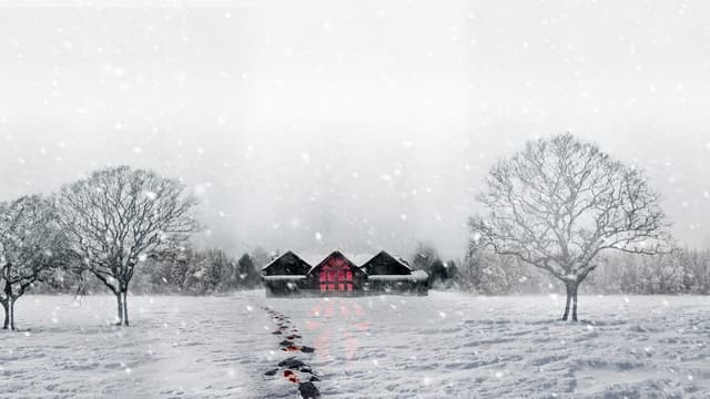 Snow Falls assista online