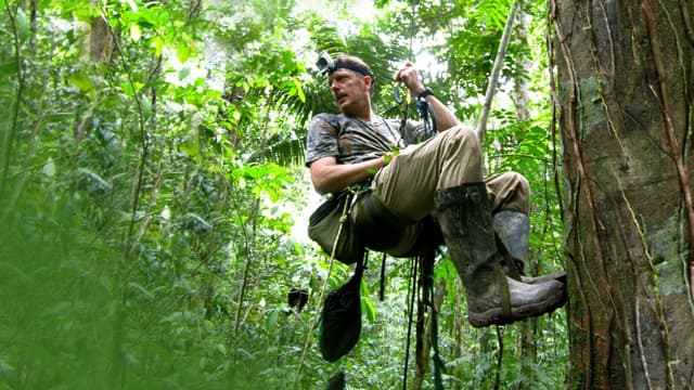 Winged Seduction: Birds of Paradise assista online