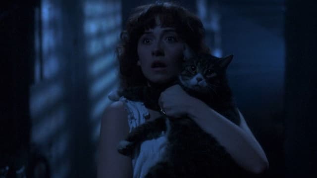 Amityville 5 - A Maldição de Amityville assista online