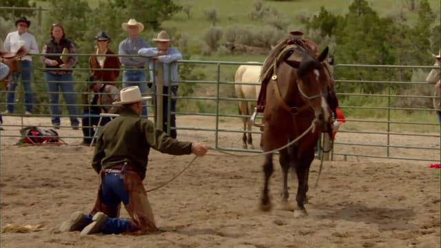 Buck, O Encantador de Cavalos assista online