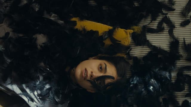 All the World Is Sleeping assista online