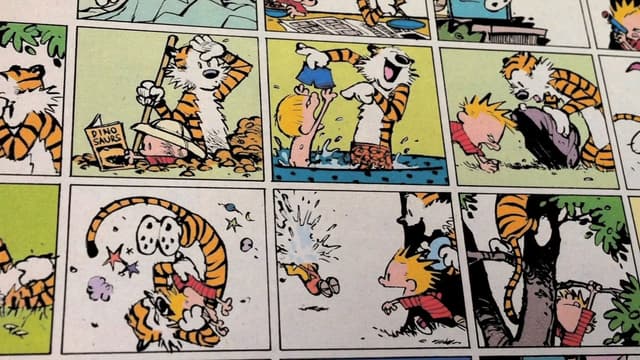 Dear Mr. Watterson assista online