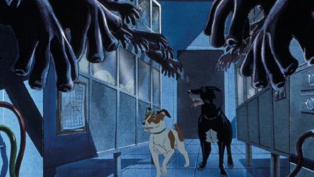 Os Cães Plagueados assista online