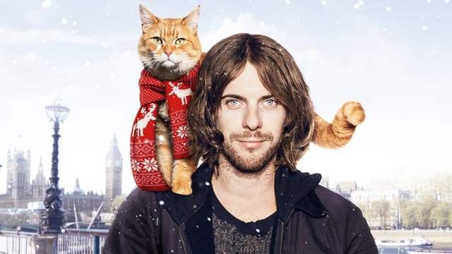 Um Gato de Rua Chamado Bob assista online