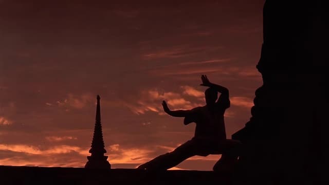 Kickboxer: O Desafio do Dragão assista online