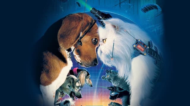 Como Cães e Gatos assista online