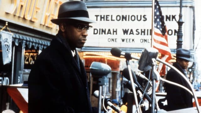 Malcolm X assista online
