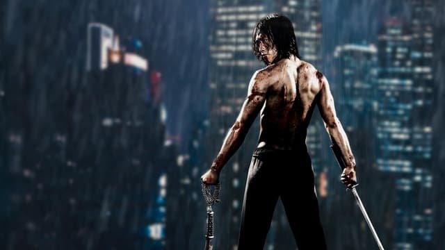 Ninja Assassino assista online