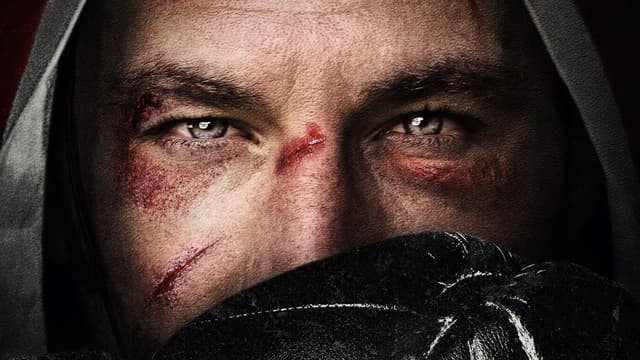 The Brawler assista online