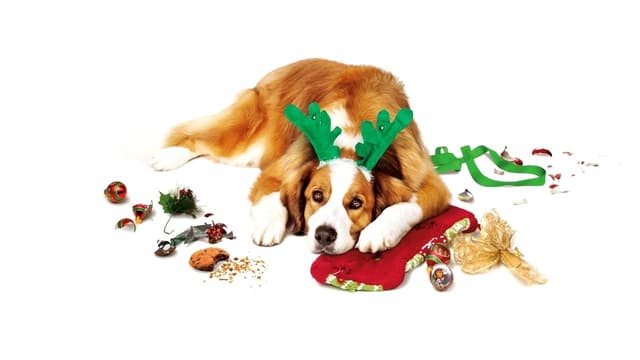 O Natal dos Coopers assista online