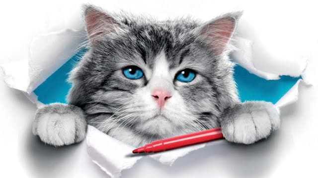 Virei um Gato assista online