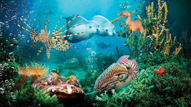 Um Mar de Aventuras assista online
