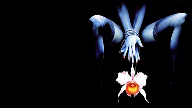 Wild Orchid II: Two Shades of Blue assista online