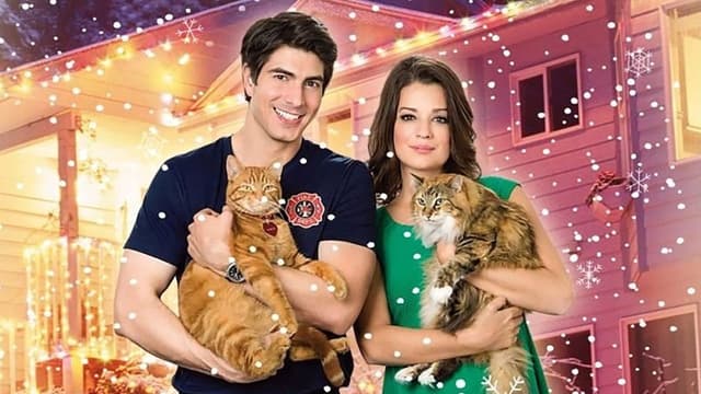 Um Amor Com Sete Vidas assista online