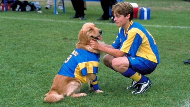 Bud 3: Jogando Futebol assista online