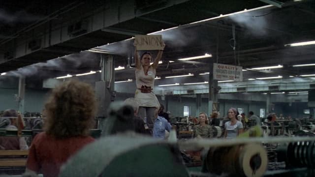 Norma Rae assista online