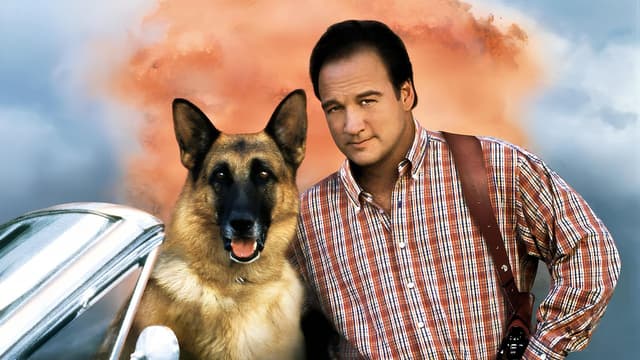 K-911: Um Policial Bom pra Cachorro 2 assista online