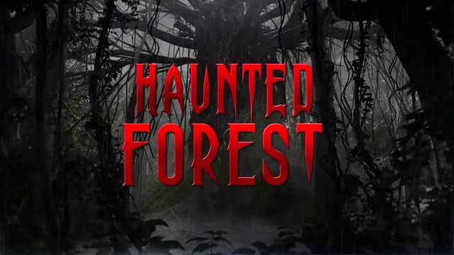 Haunted Forest assista online