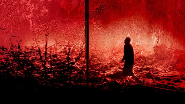 Calvaire assista online