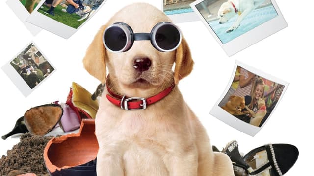 Marley & Eu 2 - Filhote Encrenqueiro assista online