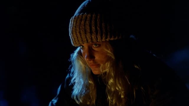 The Final Terror assista online