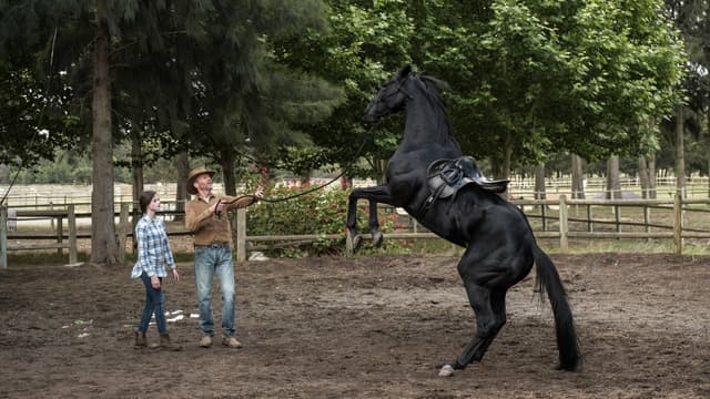 Beleza Negra: Uma Amizade Verdadeira assista online