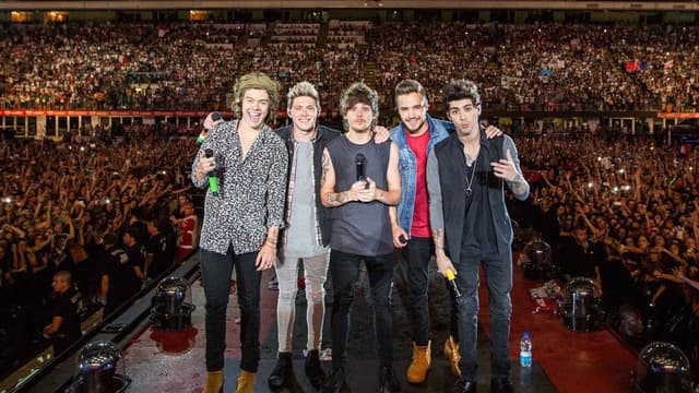 One Direction: Where We Are - The Concert Film assista online