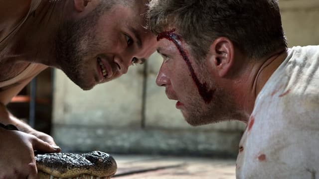 Sobrevivendo ao Inferno assista online