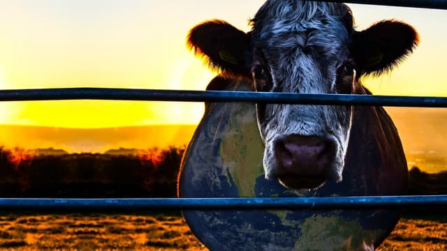 A Conspiração da Vaca: O Segredo da Sustentabilidade assista online