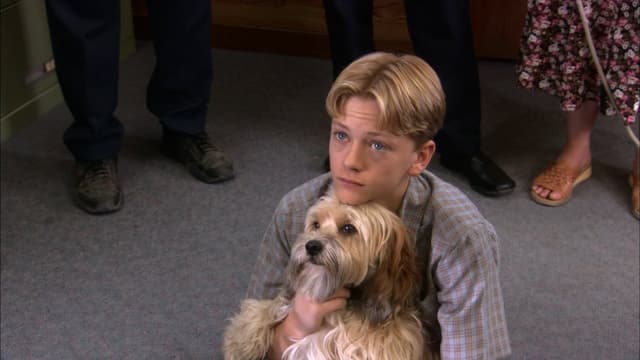 Benji, um Amigo Especial assista online