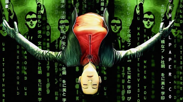 Animatrix assista online