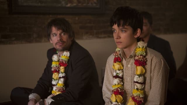 Drama em Familia assista online