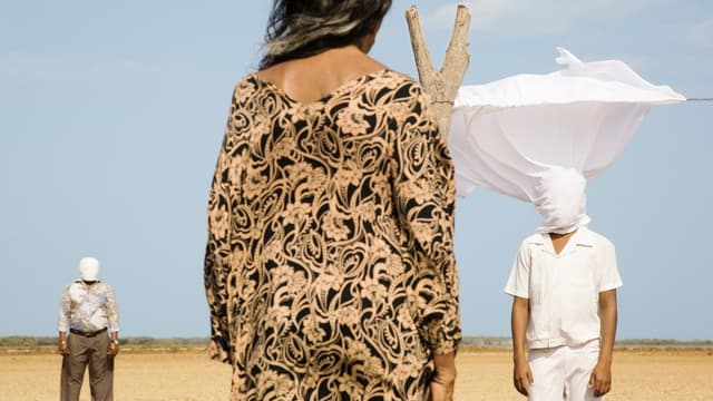 Pássaros de Verão assista online