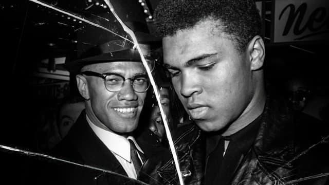 Irmãos de Sangue: Muhammad Ali e Malcolm X assista online