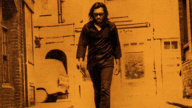 Procurando Sugar Man assista online