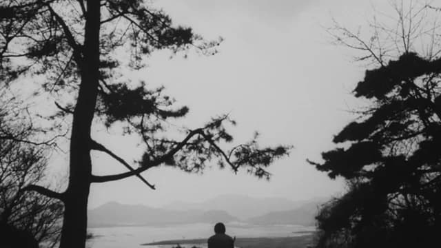 無常 assista online