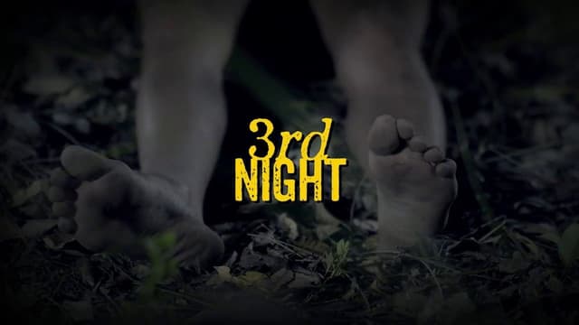 3rd Night assista online
