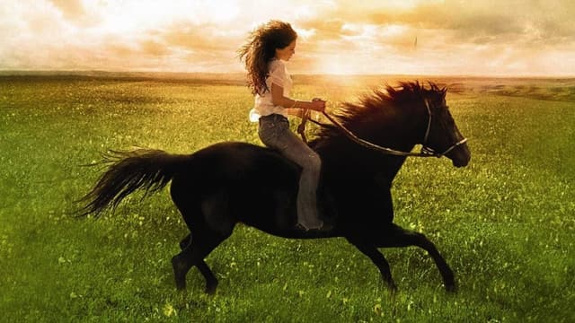 Flicka assista online