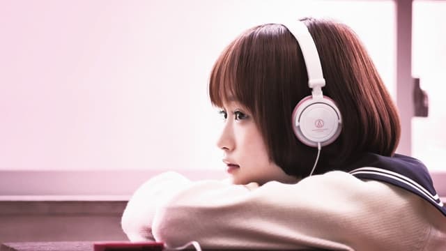 The Liar and His Lover assista online