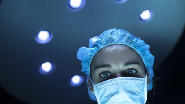 The Holly Kane Experiment assista online