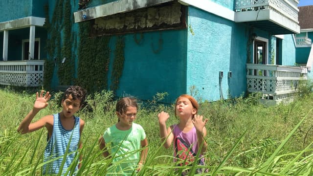 Projeto Flórida assista online