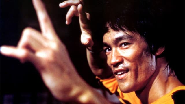 Bruce Lee: O Homem e a Lenda assista online