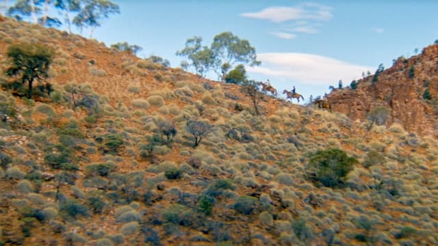 The Tracker assista online
