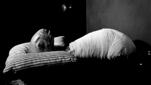 Eraserhead assista online