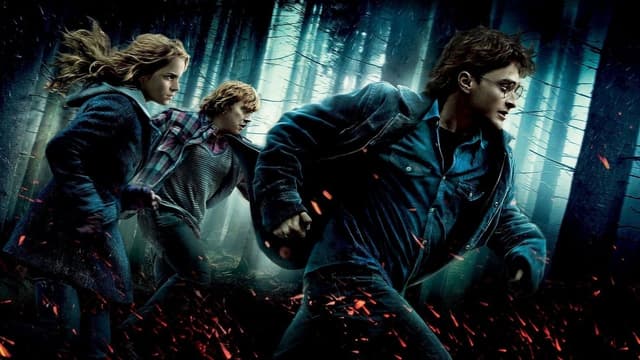 Harry Potter e as Relíquias da Morte - Parte 1 assista online