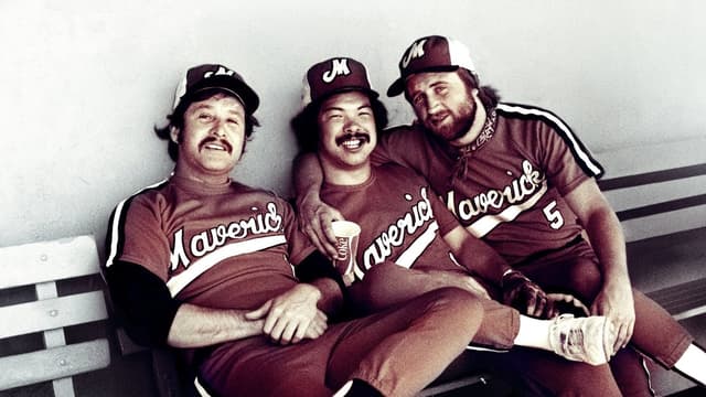 The Battered Bastards of Baseball assista online