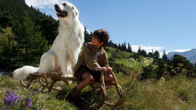 Belle e Sebástian: A Aventura Continua assista online