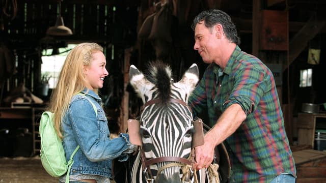 Deu Zebra! assista online